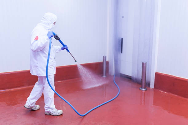 Best Warehouse Cleaning  in Kailua, HI